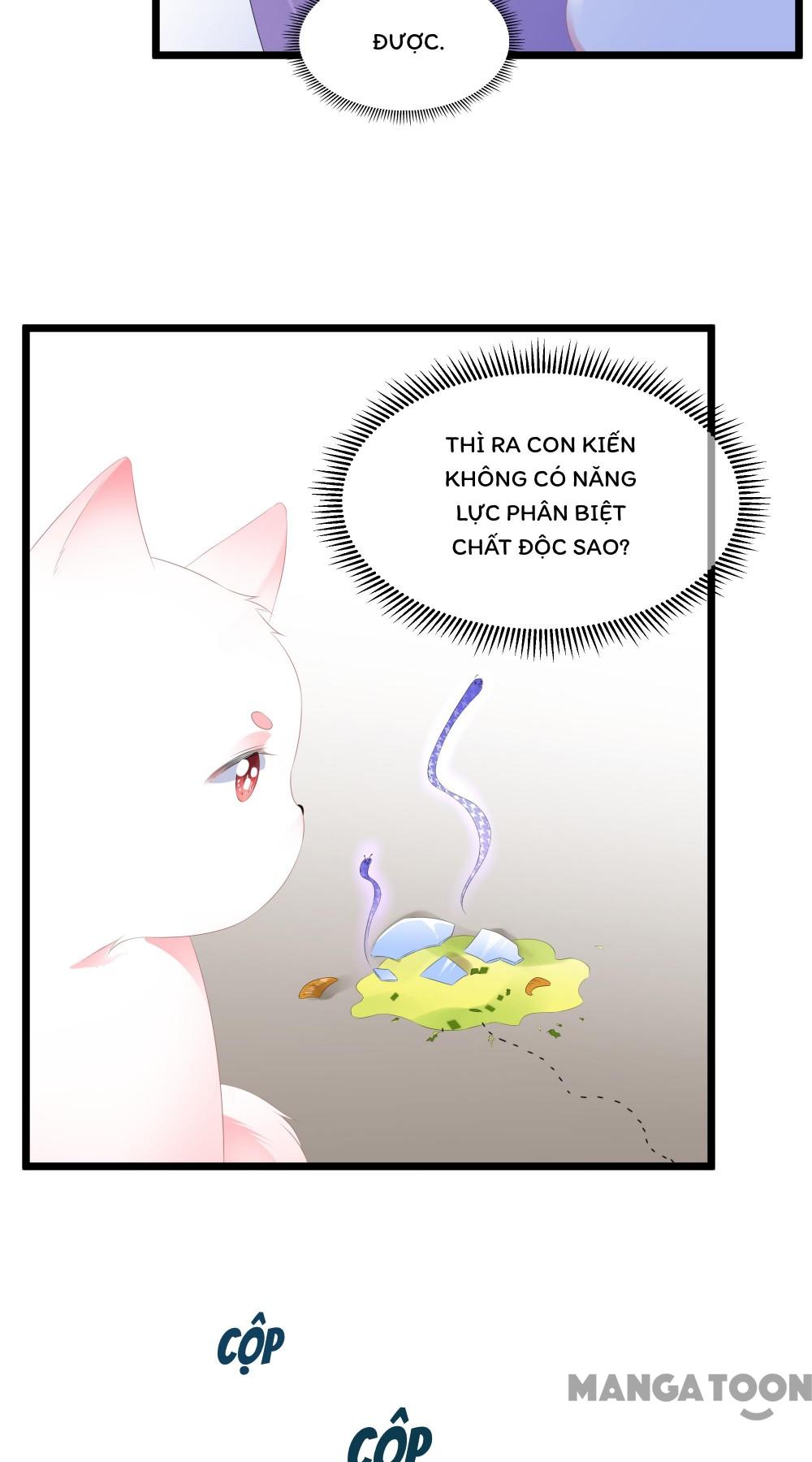 Hồ Phi Chớ Dây Vào Lửa Chapter 21 - Trang 24