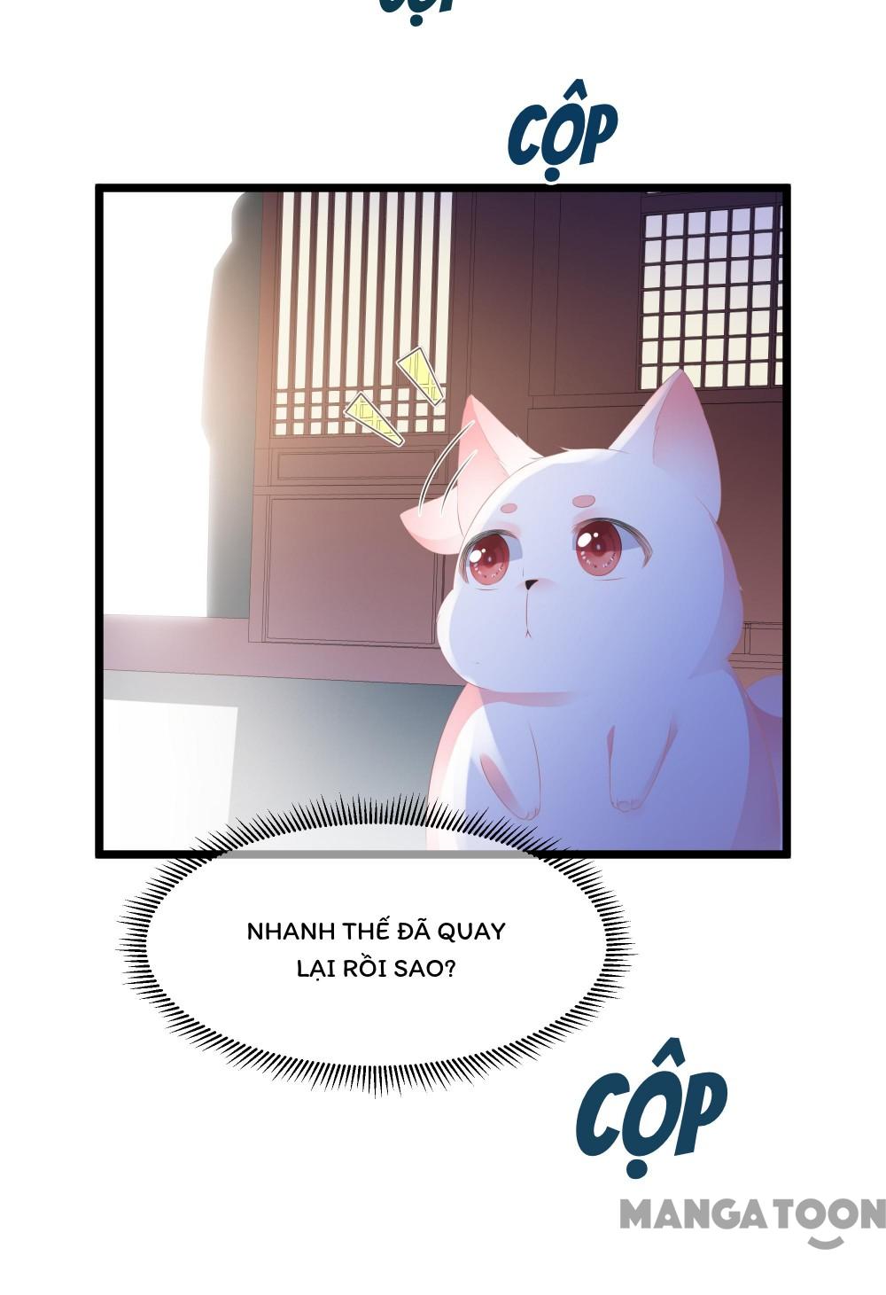 Hồ Phi Chớ Dây Vào Lửa Chapter 21 - Trang 25