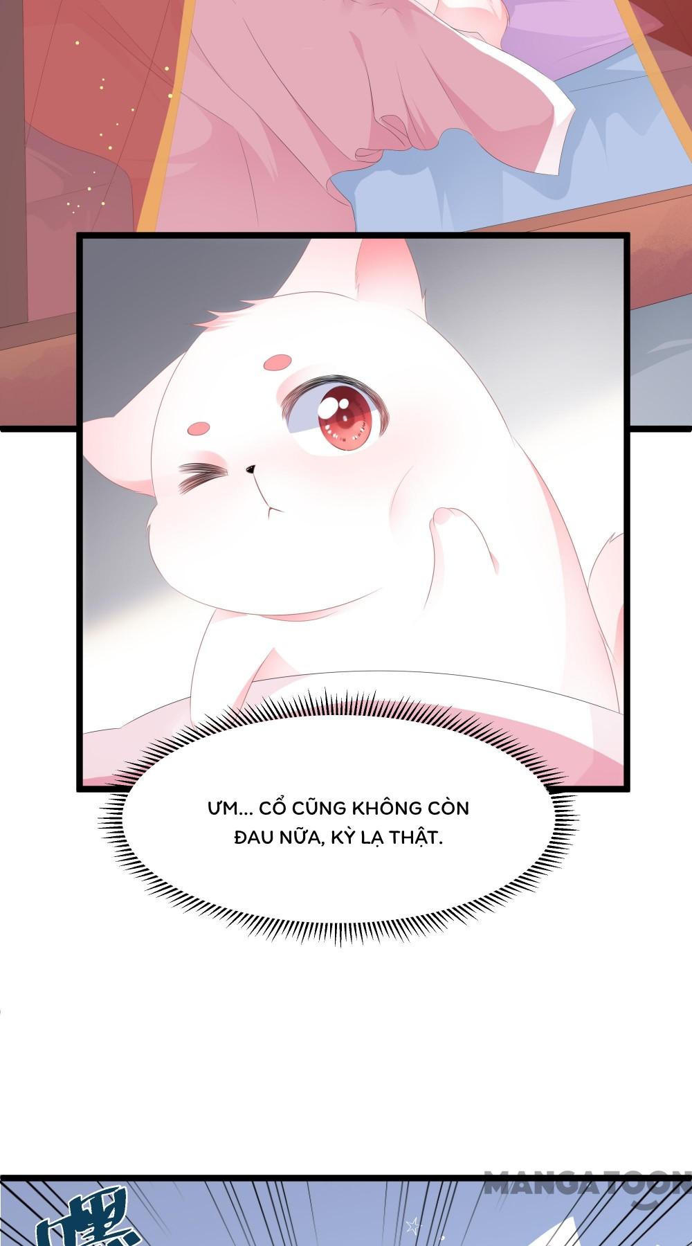 Hồ Phi Chớ Dây Vào Lửa Chapter 21 - Trang 3