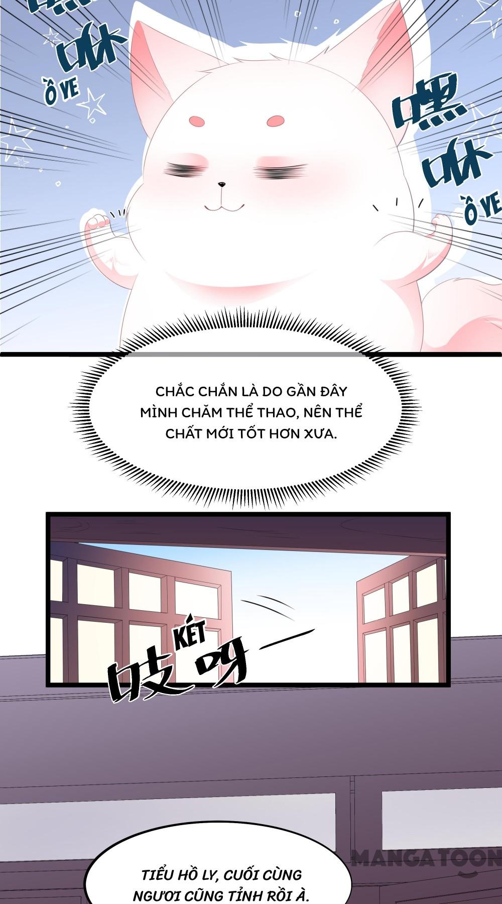 Hồ Phi Chớ Dây Vào Lửa Chapter 21 - Trang 4