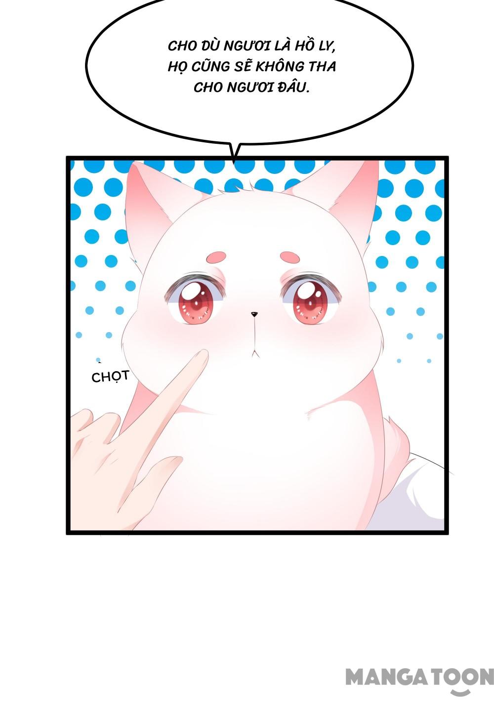Hồ Phi Chớ Dây Vào Lửa Chapter 21 - Trang 9