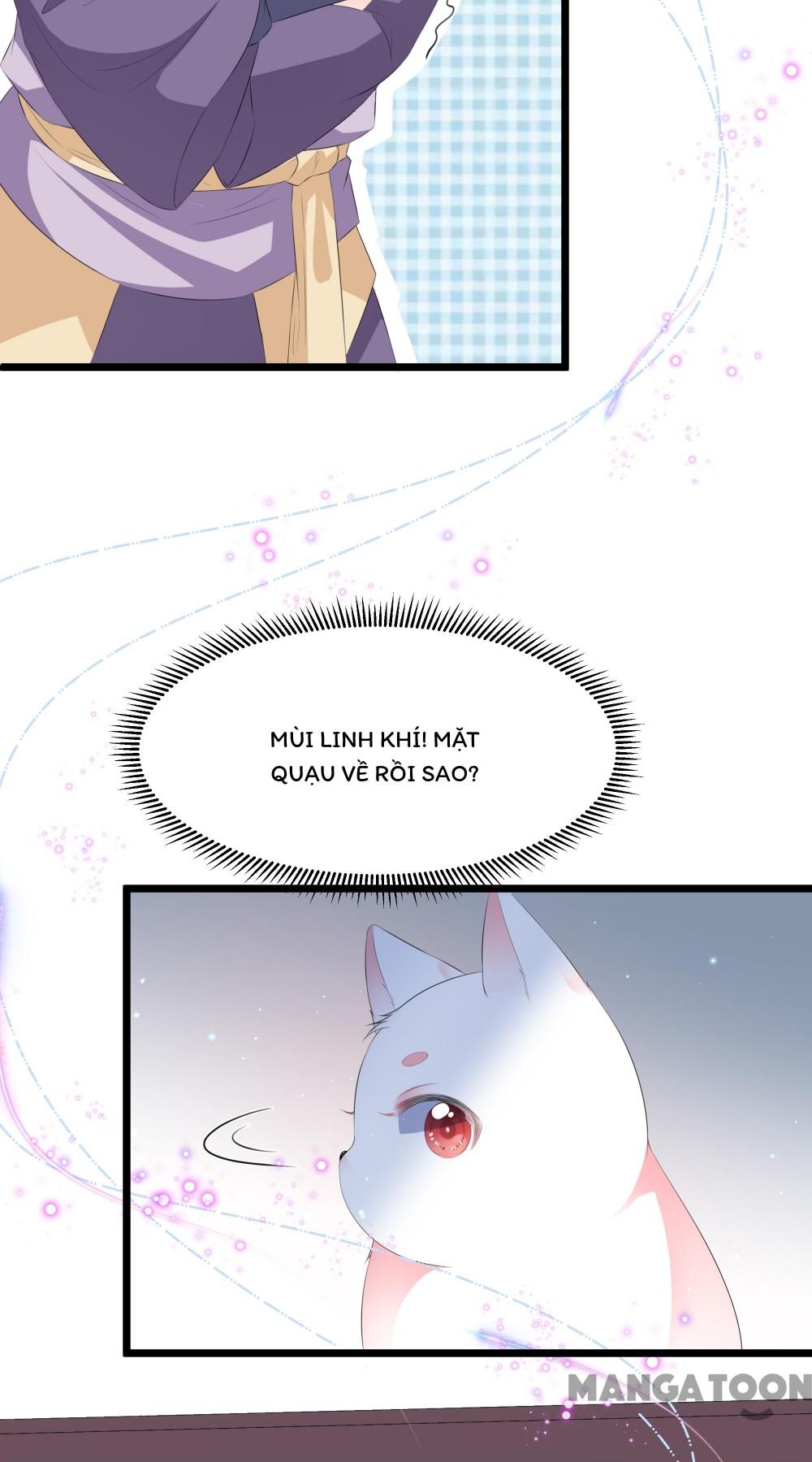 Hồ Phi Chớ Dây Vào Lửa Chapter 22 - Trang 22
