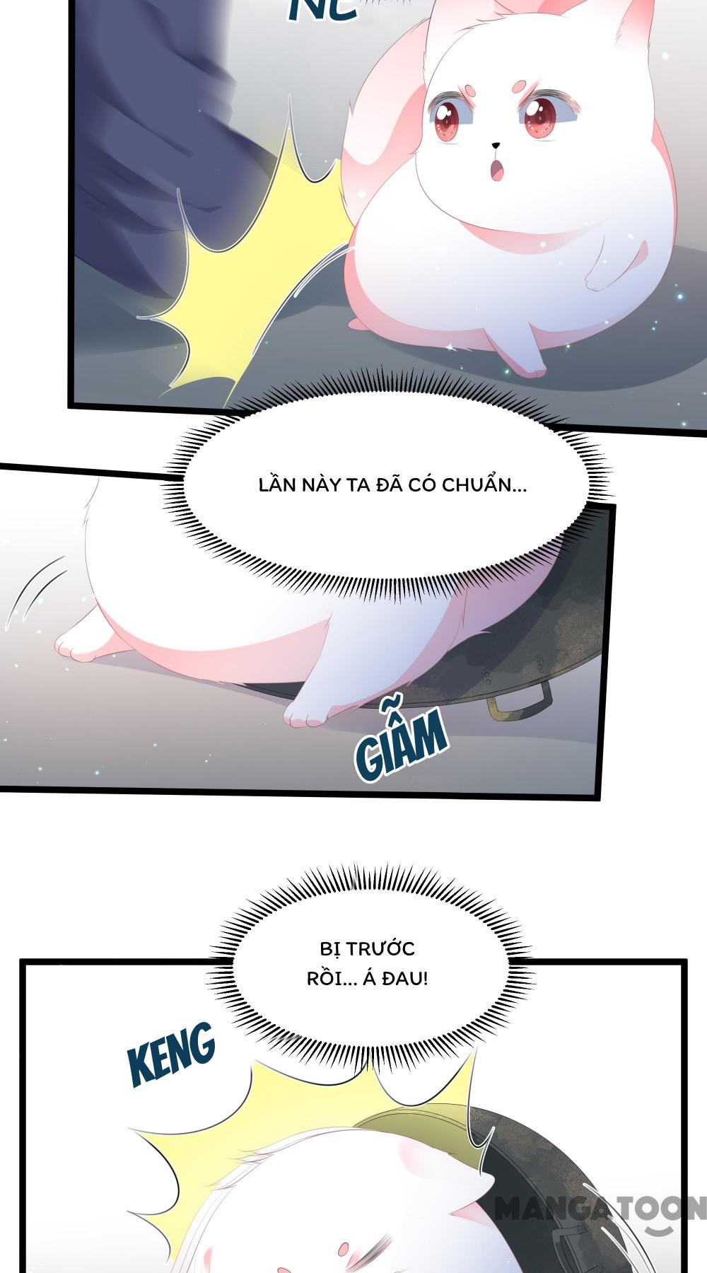 Hồ Phi Chớ Dây Vào Lửa Chapter 22 - Trang 3