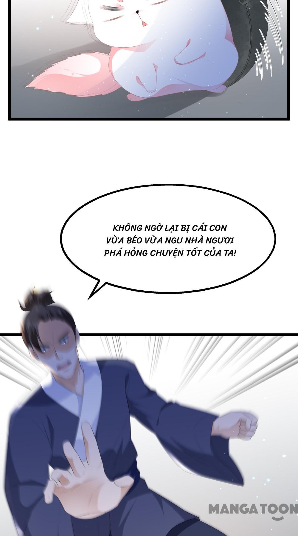 Hồ Phi Chớ Dây Vào Lửa Chapter 22 - Trang 4