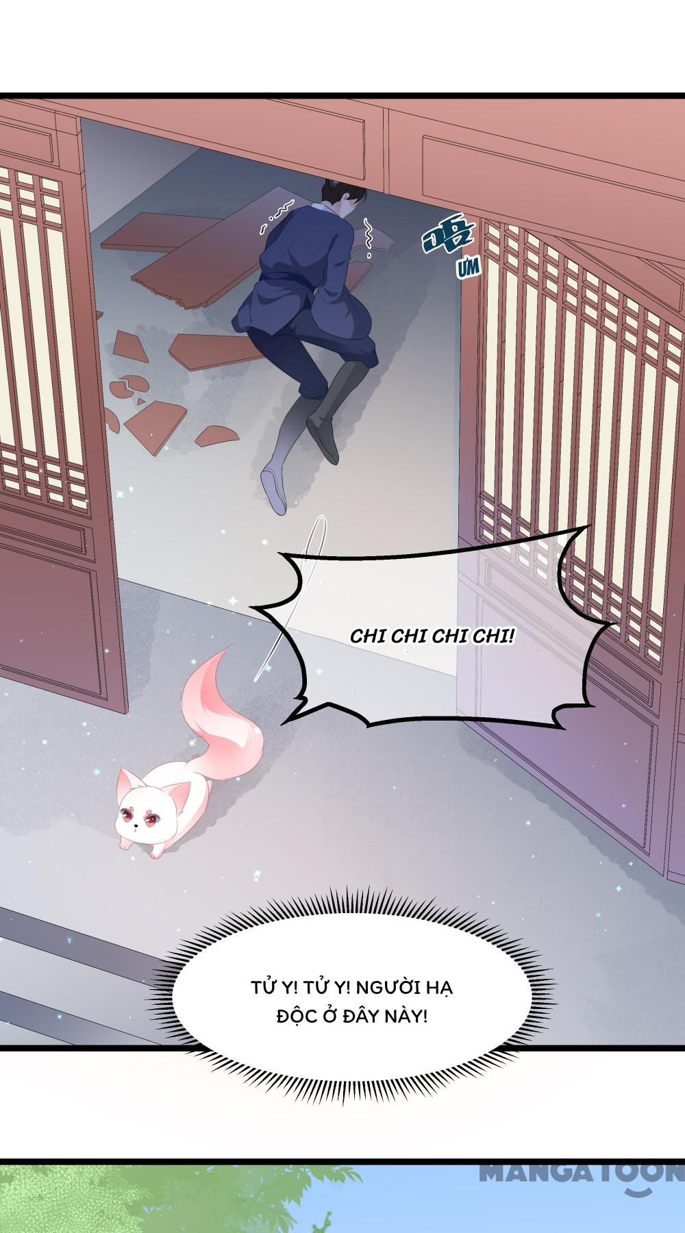 Hồ Phi Chớ Dây Vào Lửa Chapter 22 - Trang 8