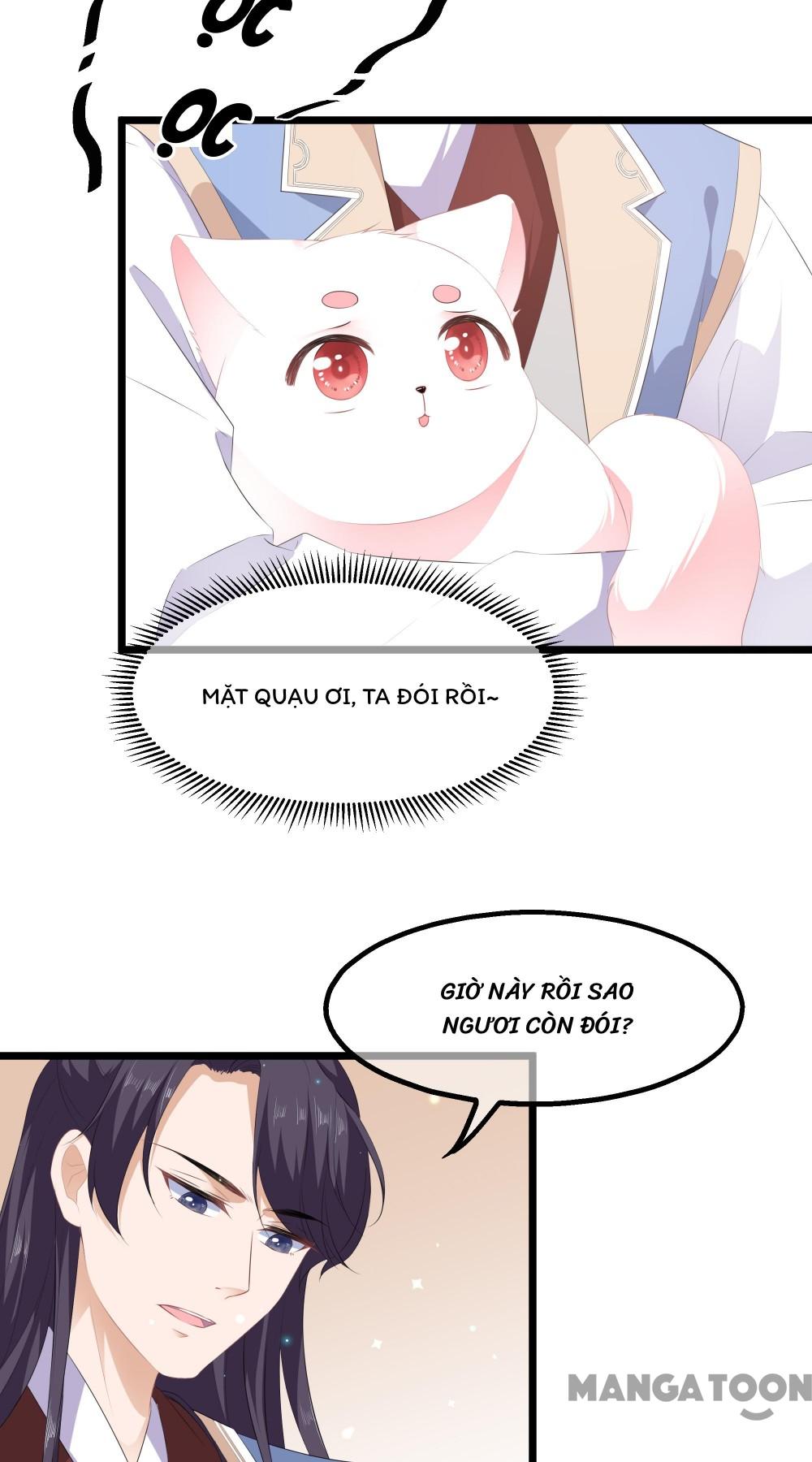 Hồ Phi Chớ Dây Vào Lửa Chapter 23 - Trang 12