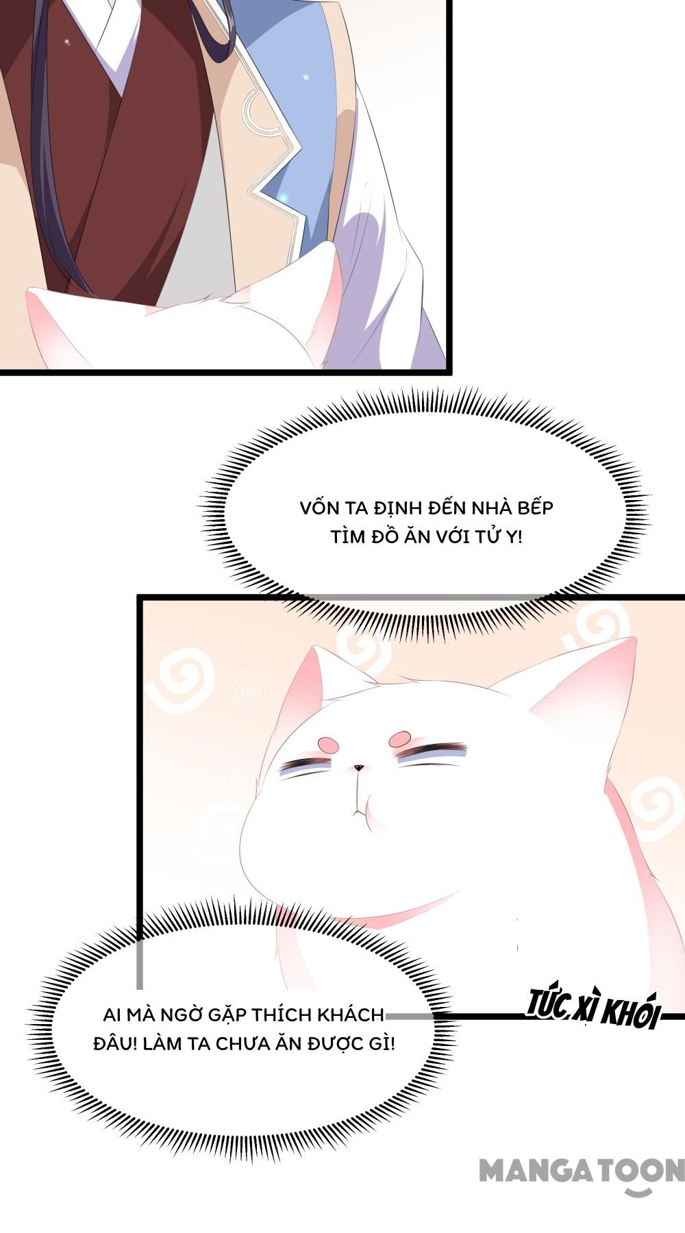 Hồ Phi Chớ Dây Vào Lửa Chapter 23 - Trang 13