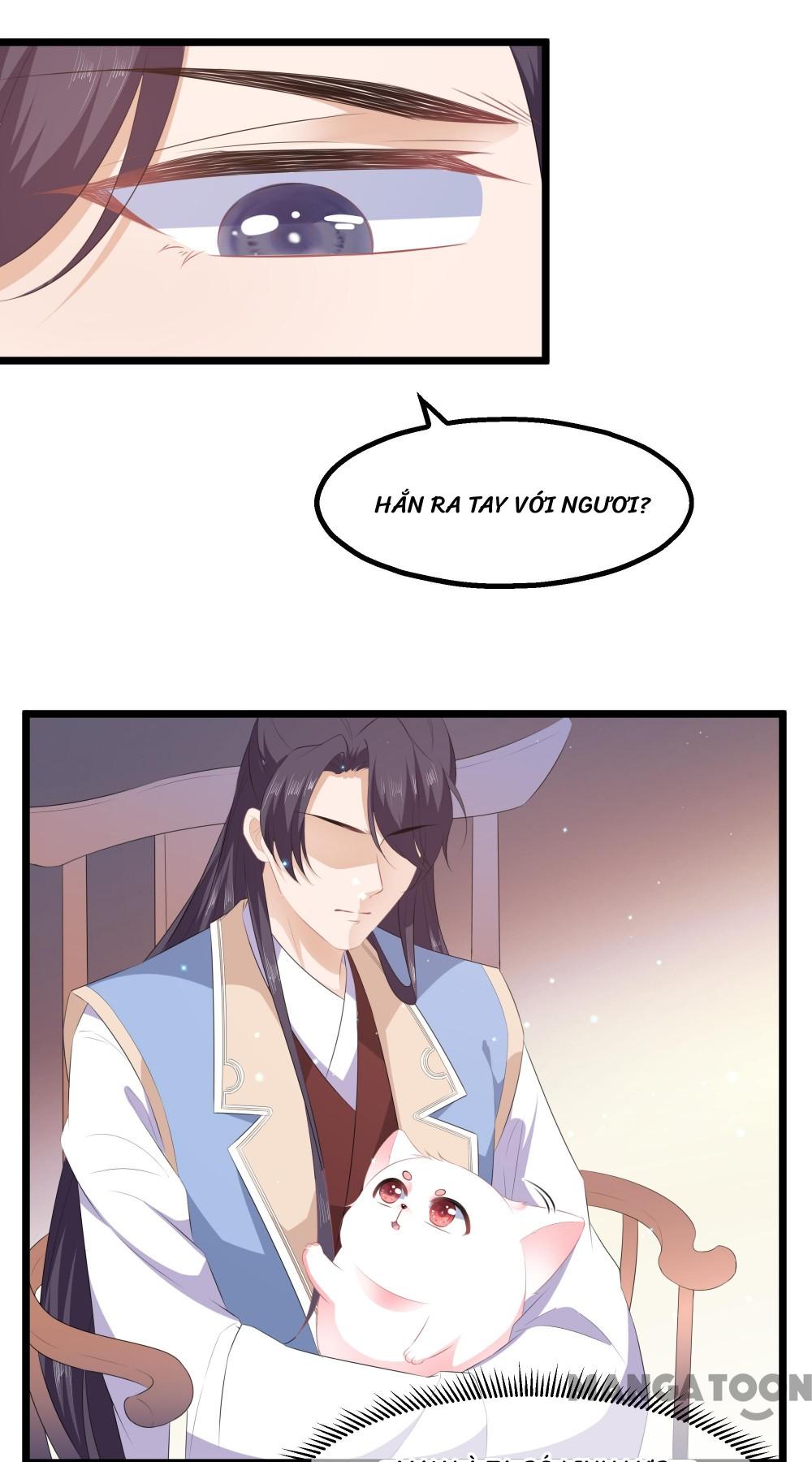 Hồ Phi Chớ Dây Vào Lửa Chapter 23 - Trang 14