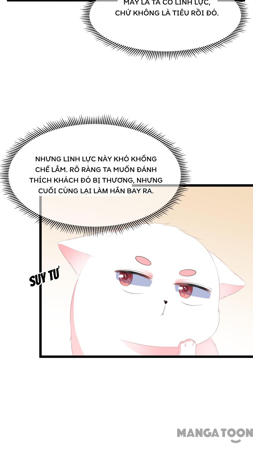 Hồ Phi Chớ Dây Vào Lửa Chapter 23 - Trang 15