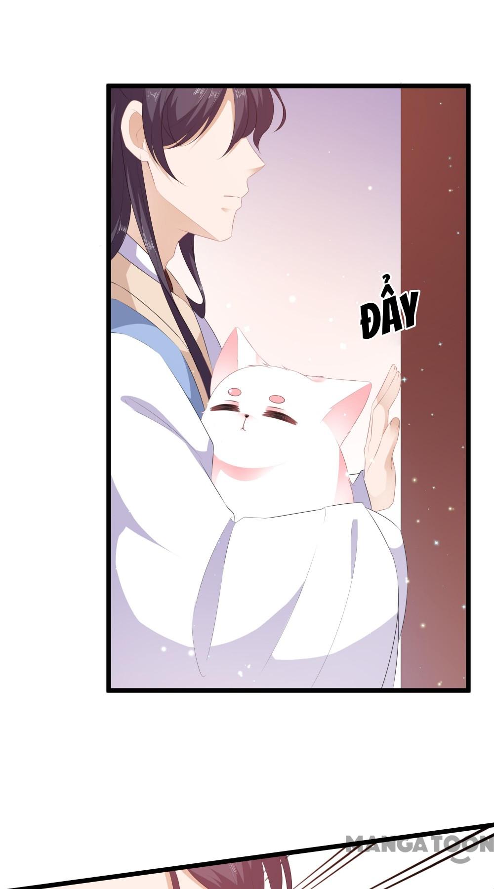 Hồ Phi Chớ Dây Vào Lửa Chapter 23 - Trang 18
