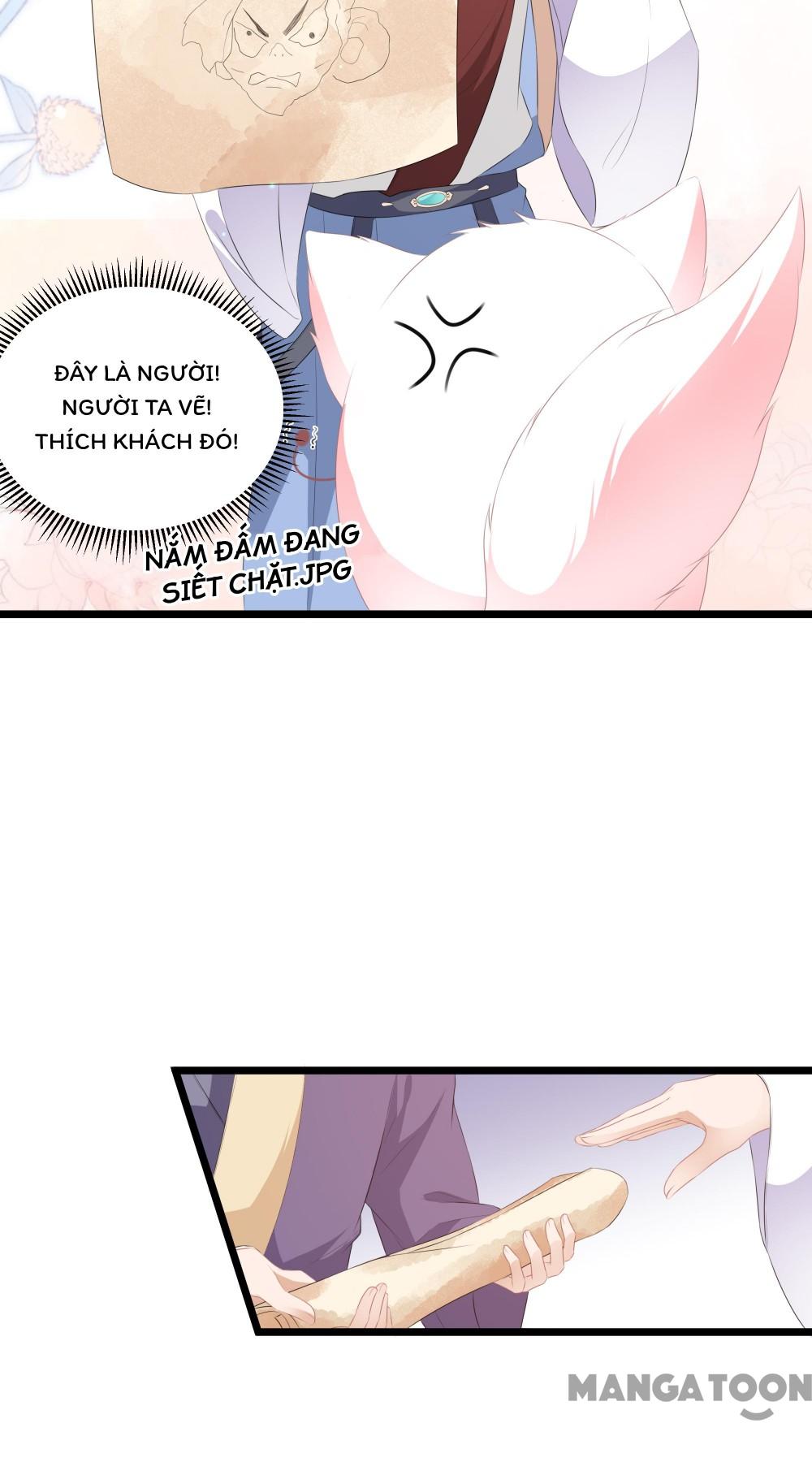 Hồ Phi Chớ Dây Vào Lửa Chapter 23 - Trang 5