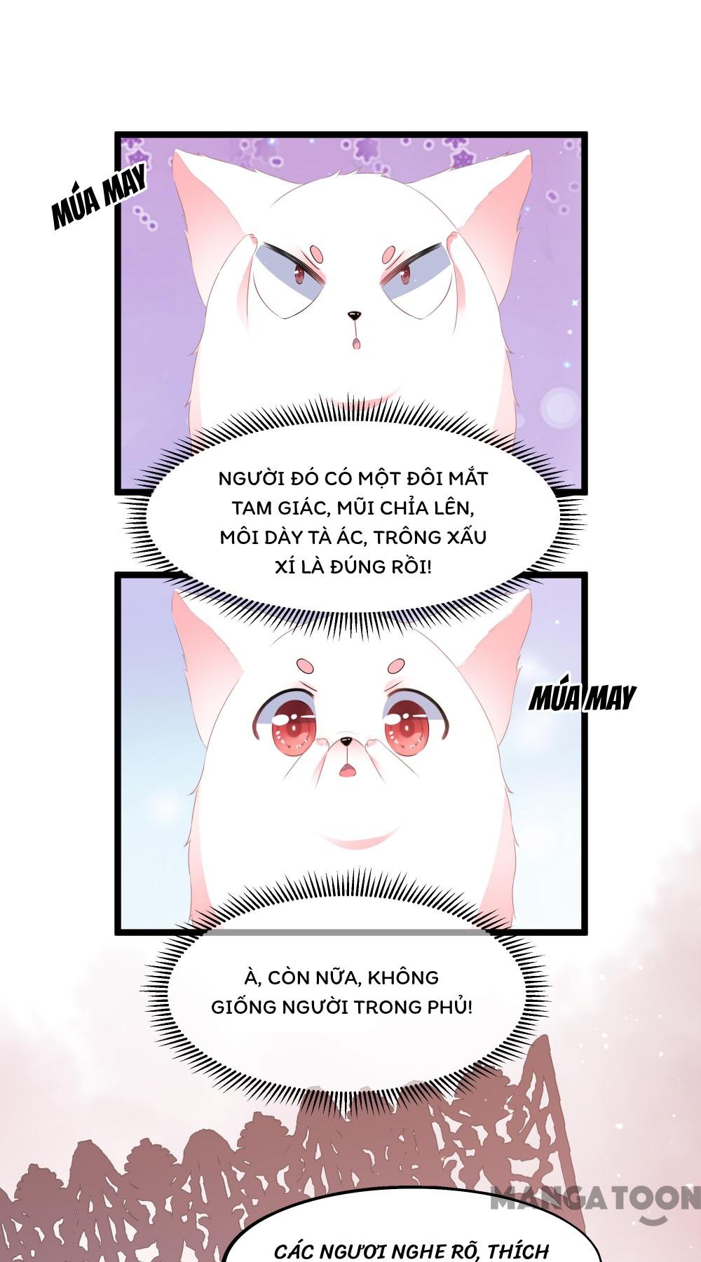 Hồ Phi Chớ Dây Vào Lửa Chapter 23 - Trang 8