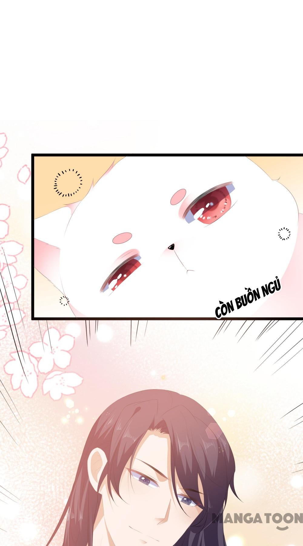 Hồ Phi Chớ Dây Vào Lửa Chapter 24 - Trang 12