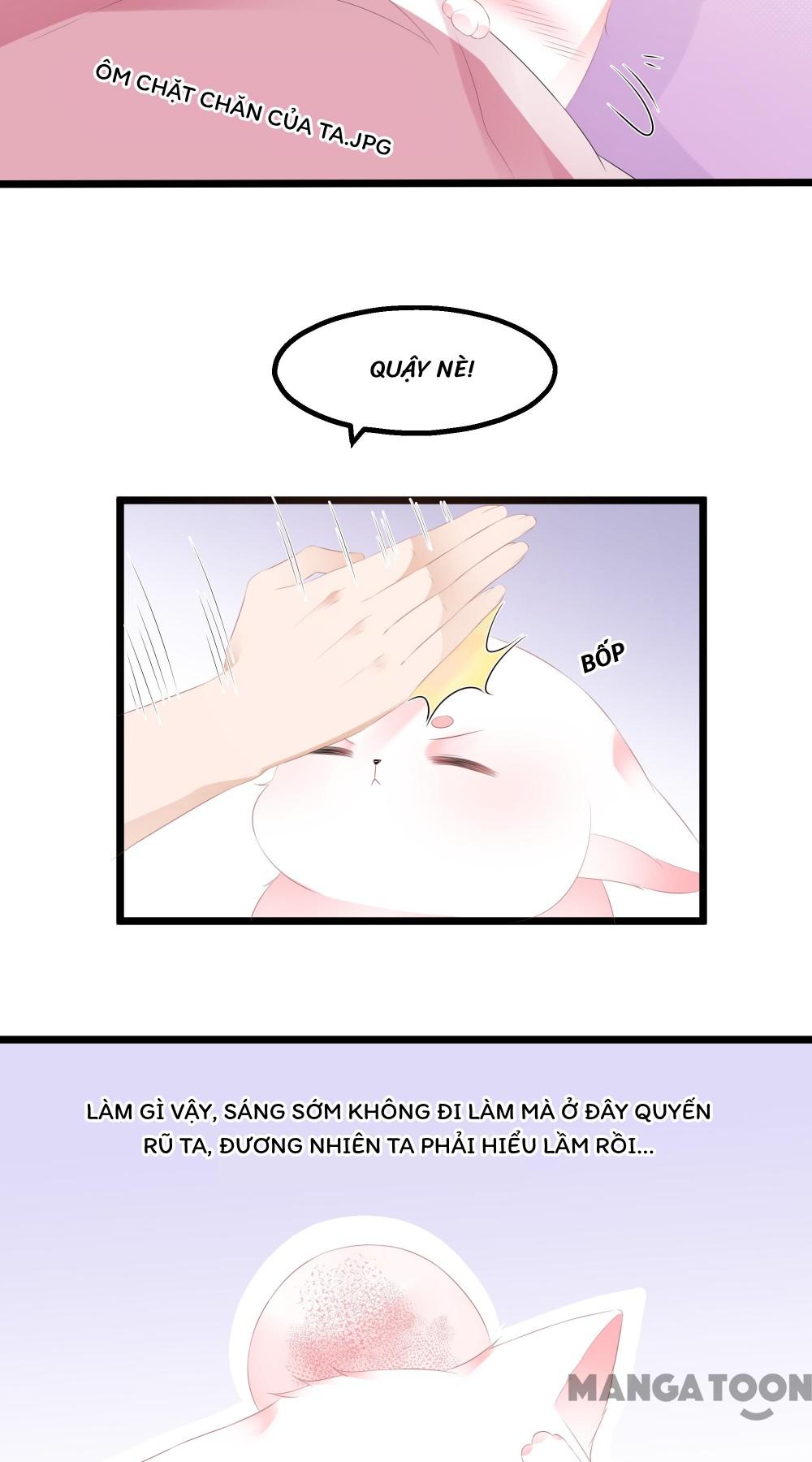 Hồ Phi Chớ Dây Vào Lửa Chapter 24 - Trang 14