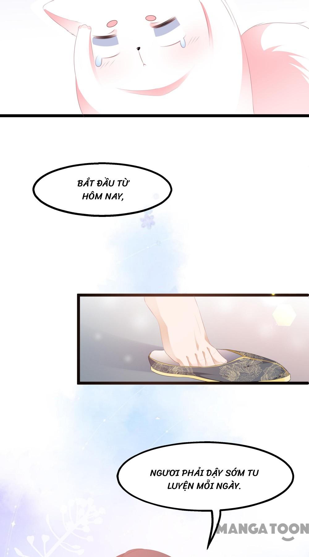 Hồ Phi Chớ Dây Vào Lửa Chapter 24 - Trang 15