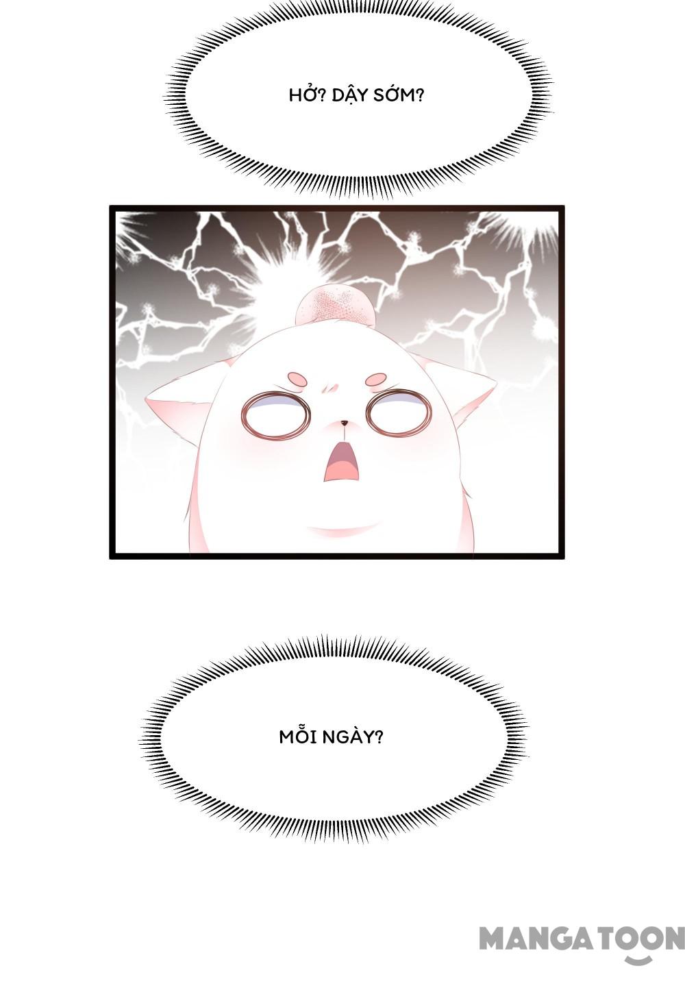 Hồ Phi Chớ Dây Vào Lửa Chapter 24 - Trang 17