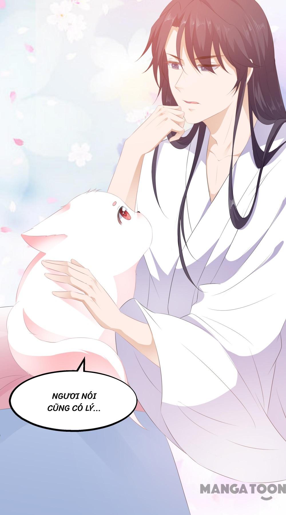 Hồ Phi Chớ Dây Vào Lửa Chapter 24 - Trang 19