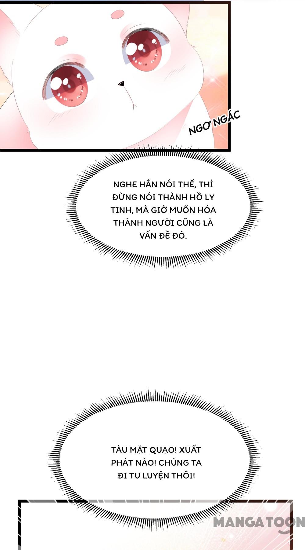 Hồ Phi Chớ Dây Vào Lửa Chapter 24 - Trang 20