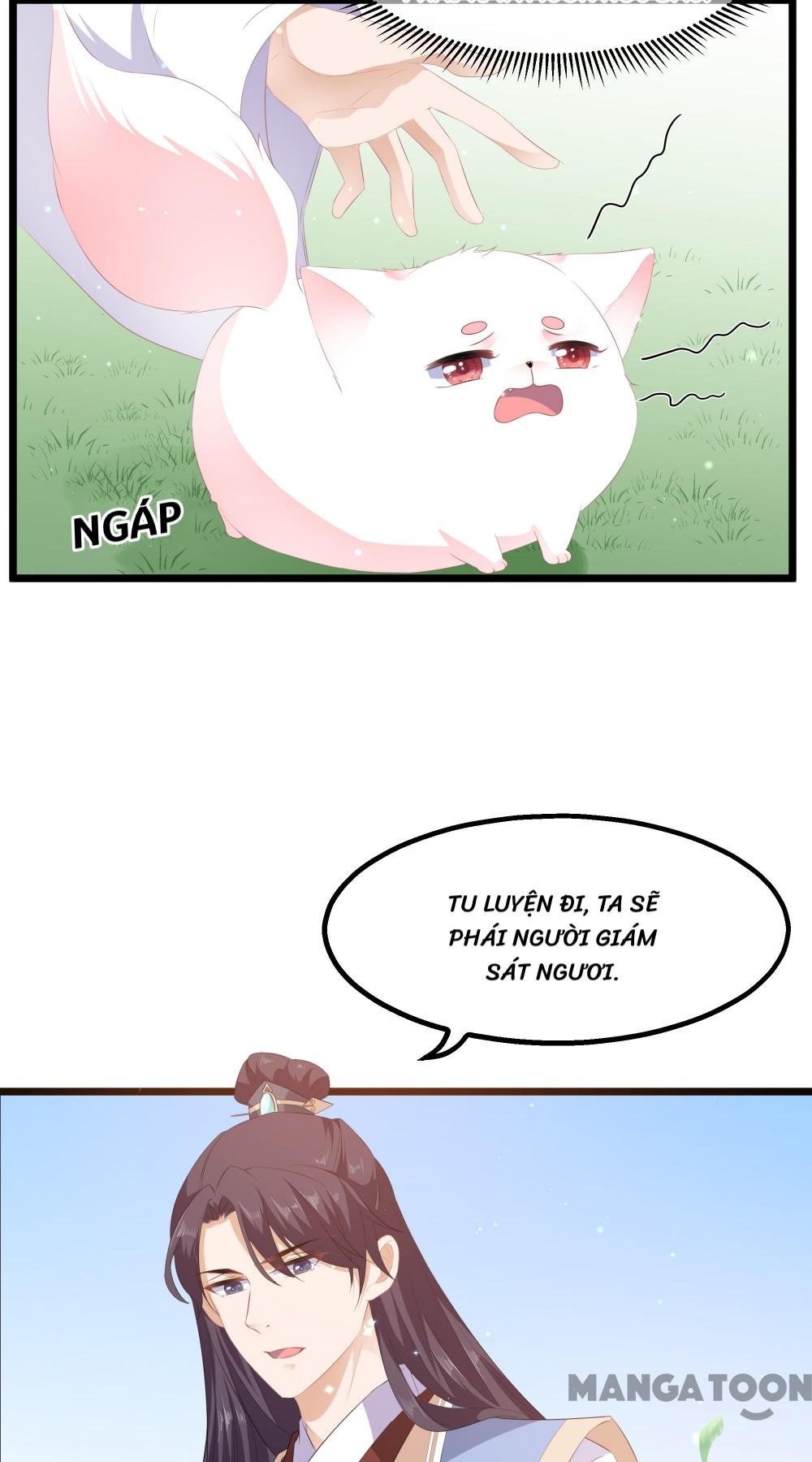 Hồ Phi Chớ Dây Vào Lửa Chapter 24 - Trang 27