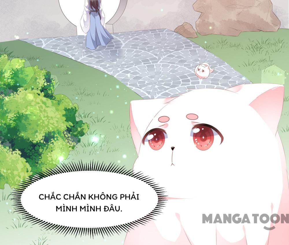 Hồ Phi Chớ Dây Vào Lửa Chapter 24 - Trang 29
