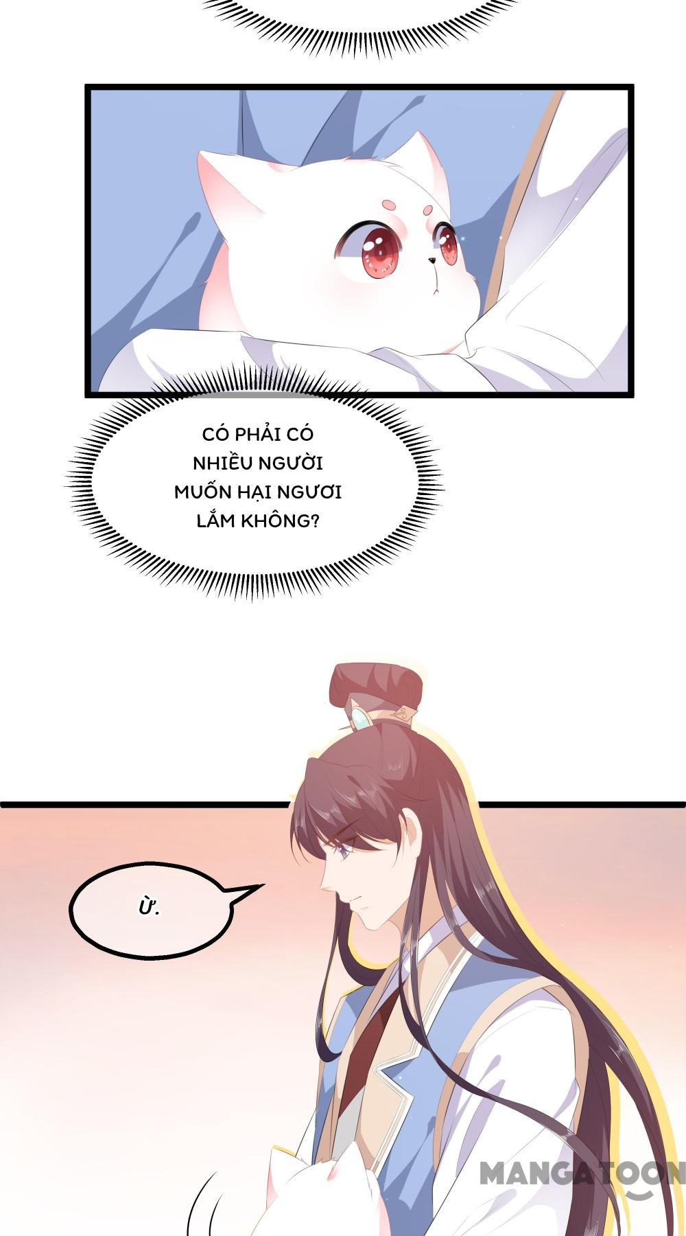 Hồ Phi Chớ Dây Vào Lửa Chapter 24 - Trang 6