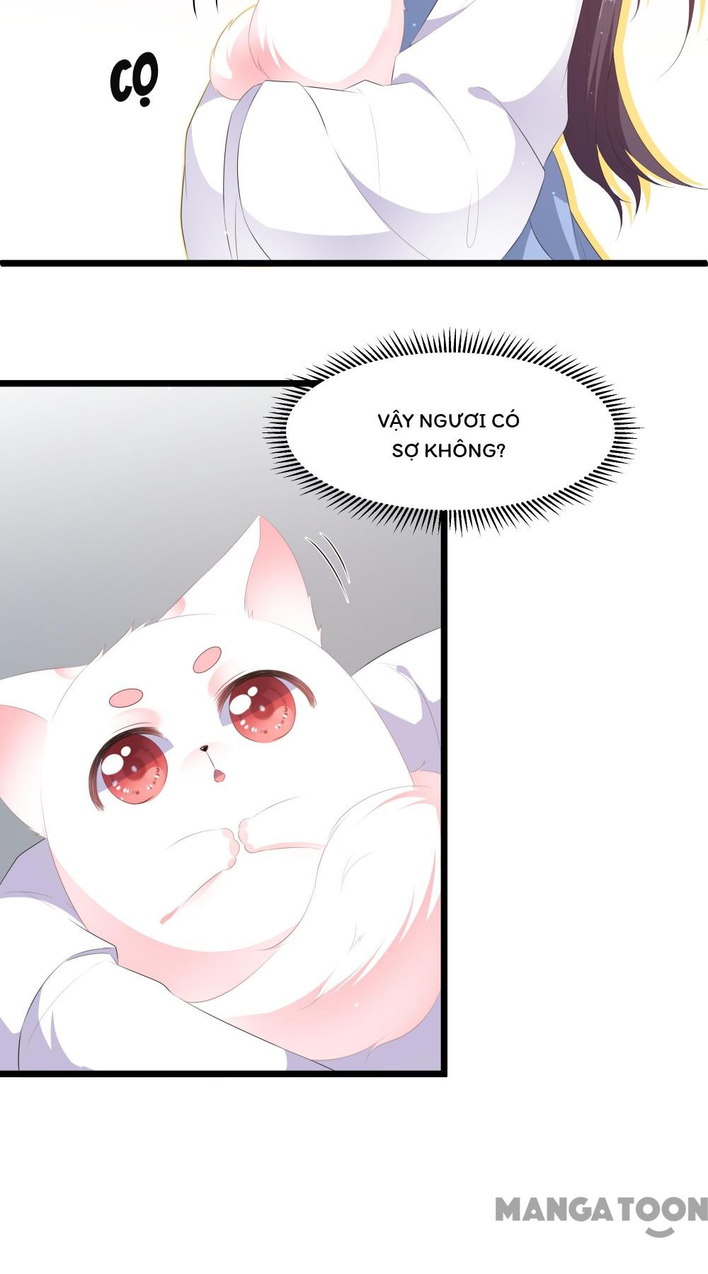 Hồ Phi Chớ Dây Vào Lửa Chapter 24 - Trang 7