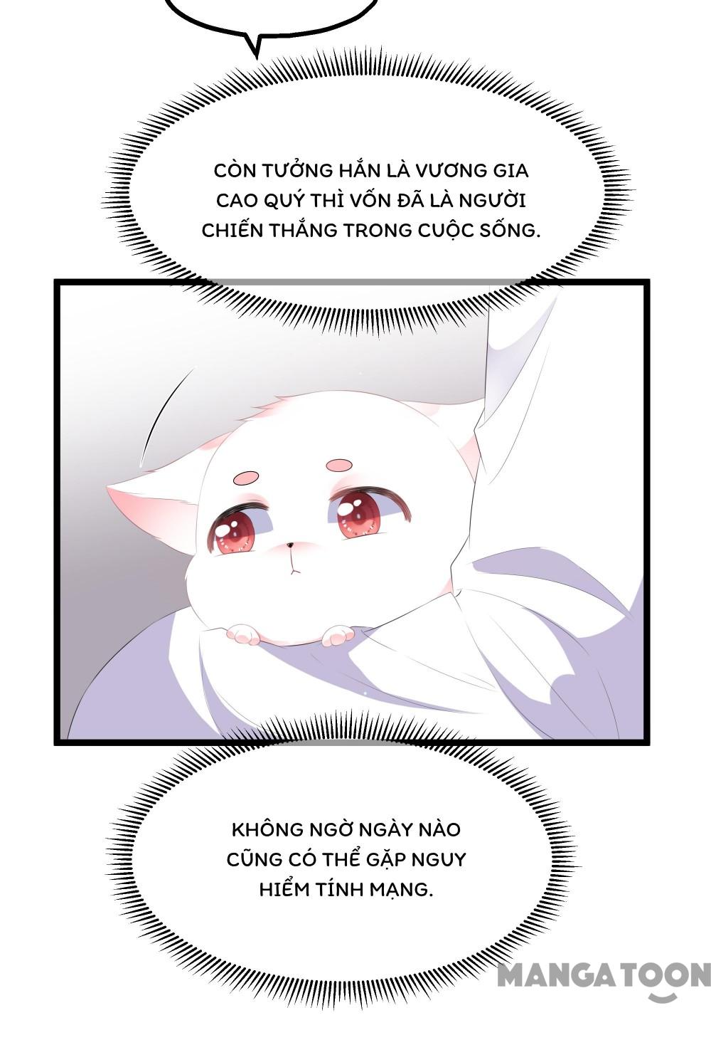 Hồ Phi Chớ Dây Vào Lửa Chapter 24 - Trang 9