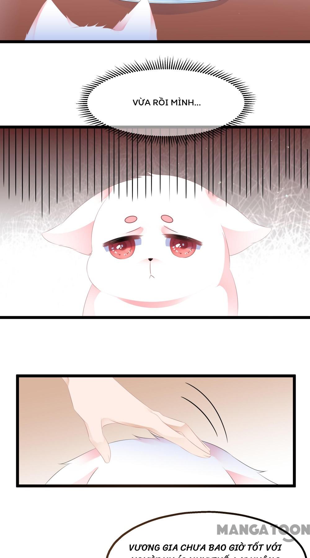Hồ Phi Chớ Dây Vào Lửa Chapter 25 - Trang 16