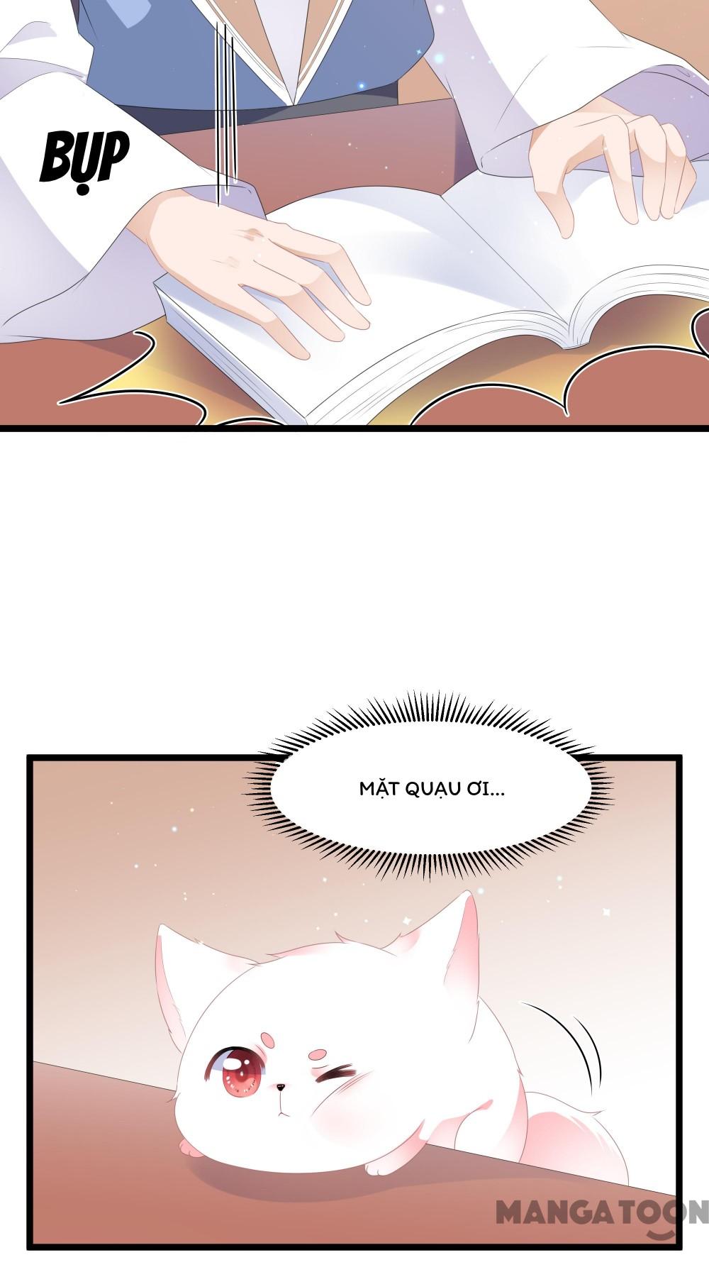 Hồ Phi Chớ Dây Vào Lửa Chapter 25 - Trang 22