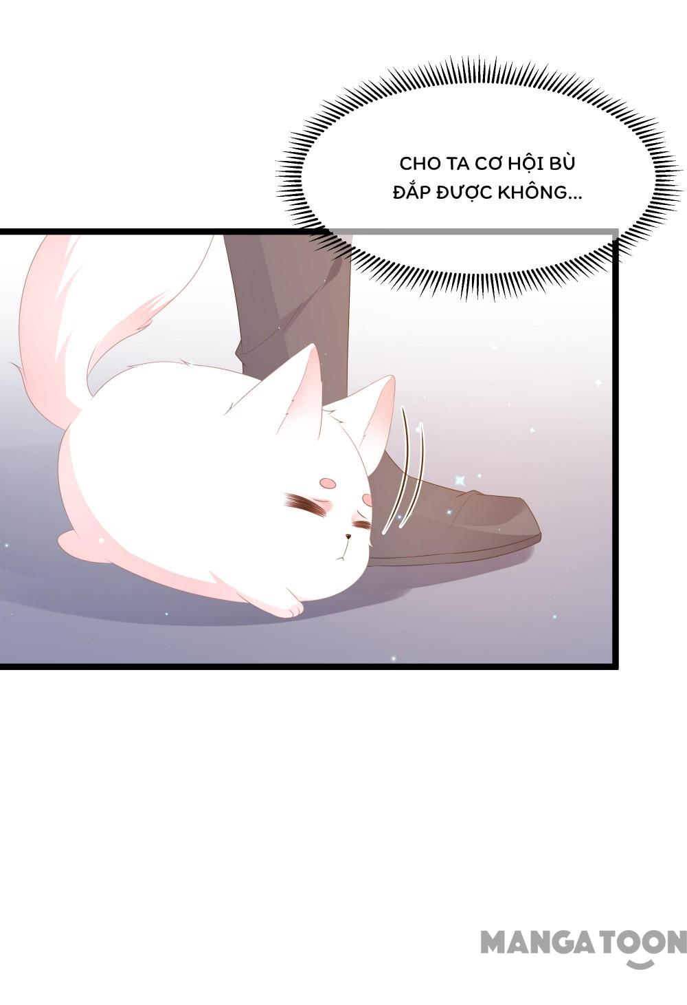 Hồ Phi Chớ Dây Vào Lửa Chapter 25 - Trang 25