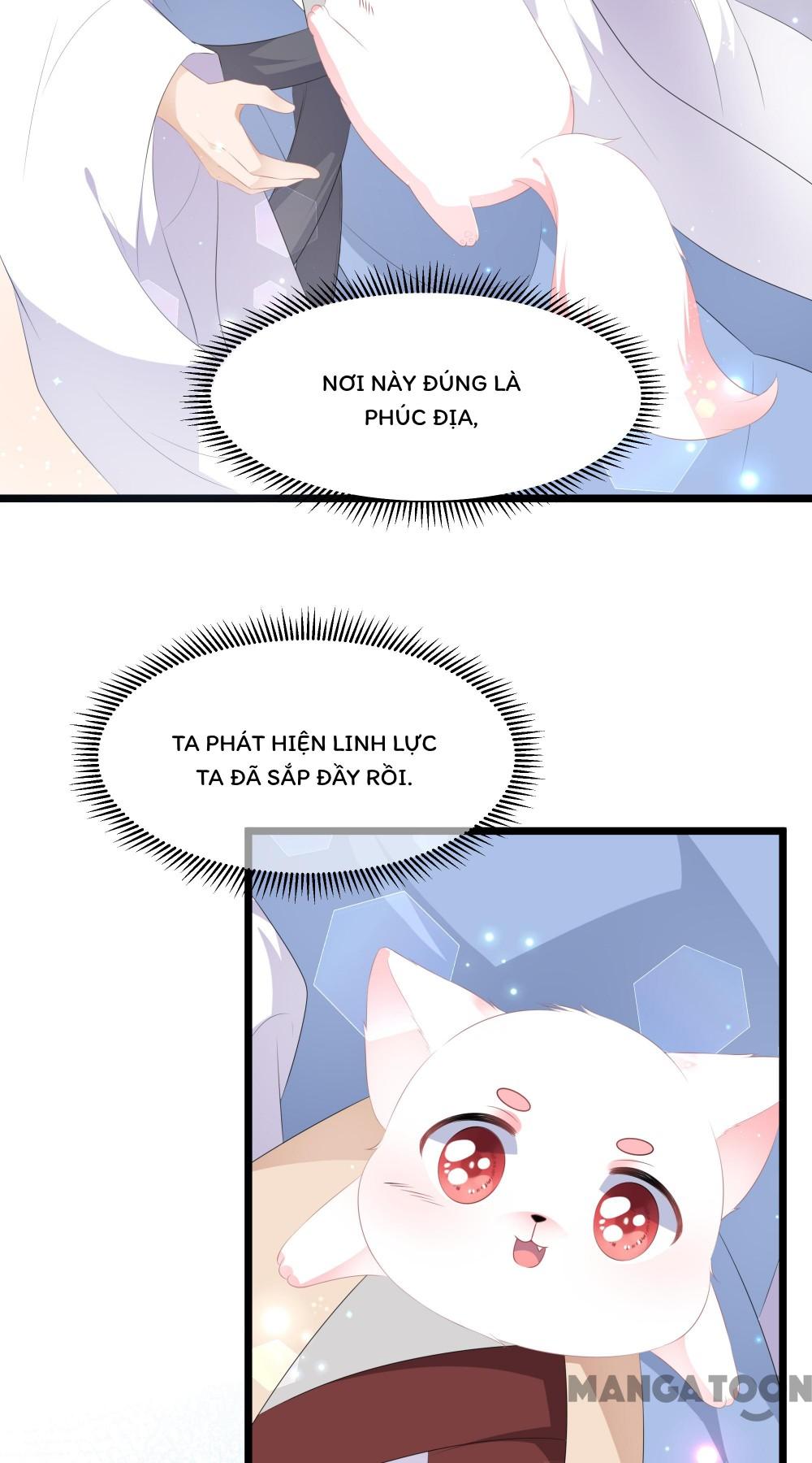 Hồ Phi Chớ Dây Vào Lửa Chapter 25 - Trang 6