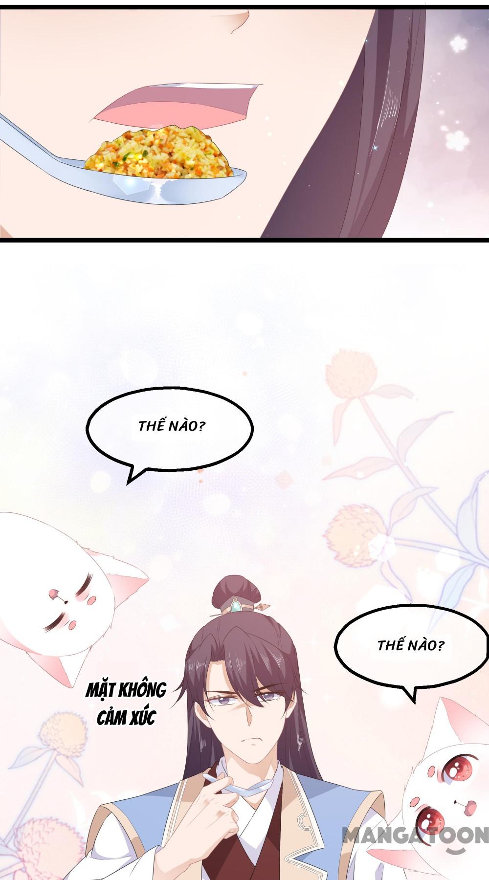 Hồ Phi Chớ Dây Vào Lửa Chapter 26 - Trang 12