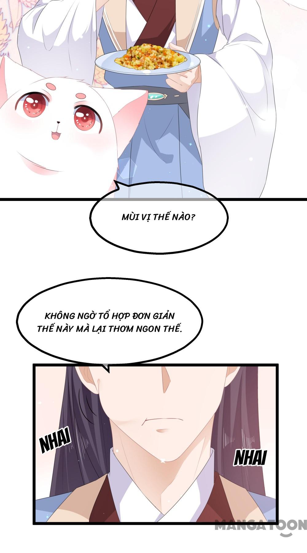 Hồ Phi Chớ Dây Vào Lửa Chapter 26 - Trang 13