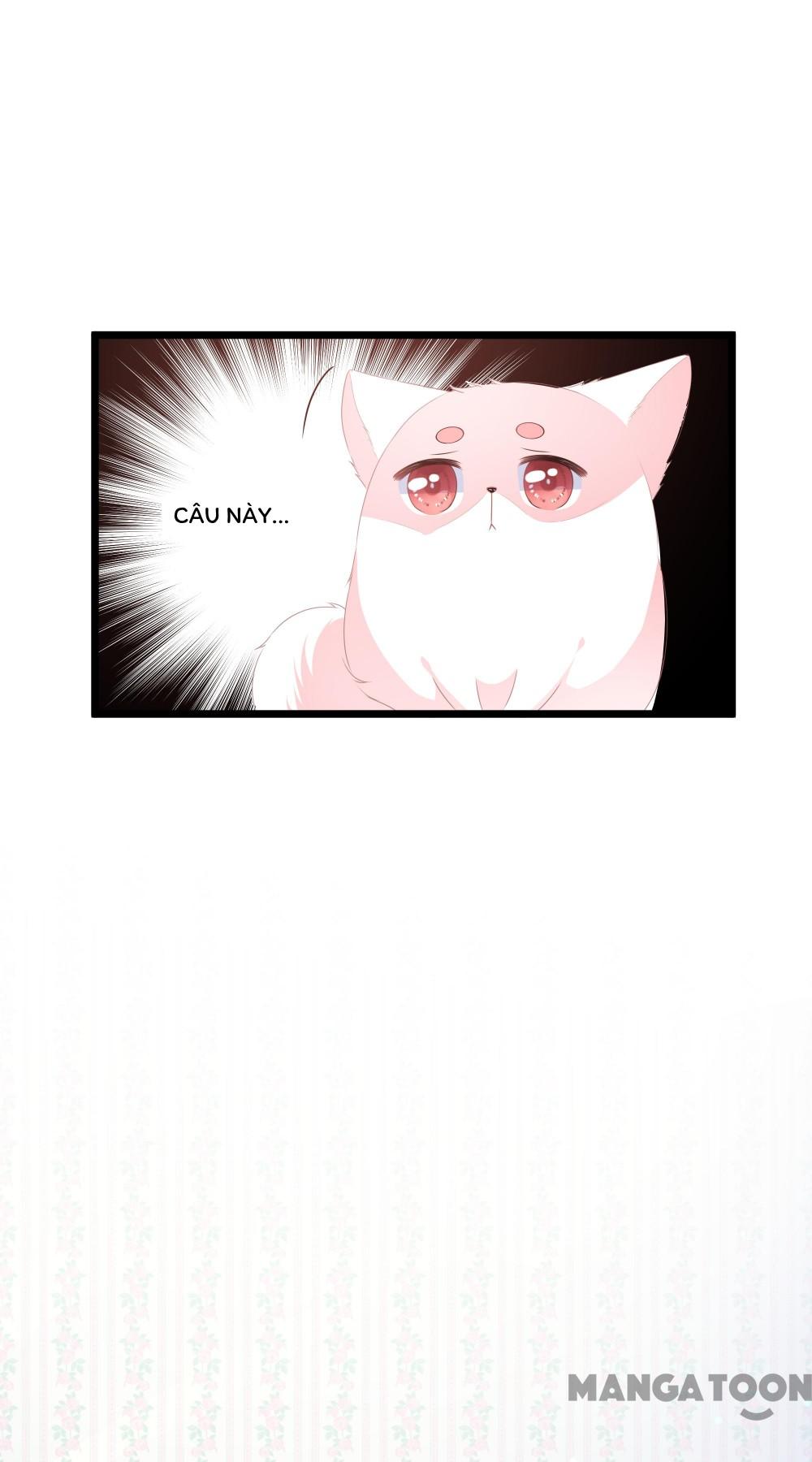 Hồ Phi Chớ Dây Vào Lửa Chapter 26 - Trang 15