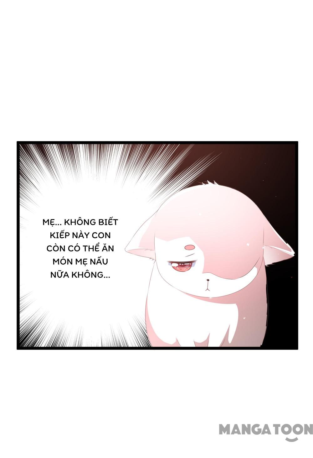 Hồ Phi Chớ Dây Vào Lửa Chapter 26 - Trang 17