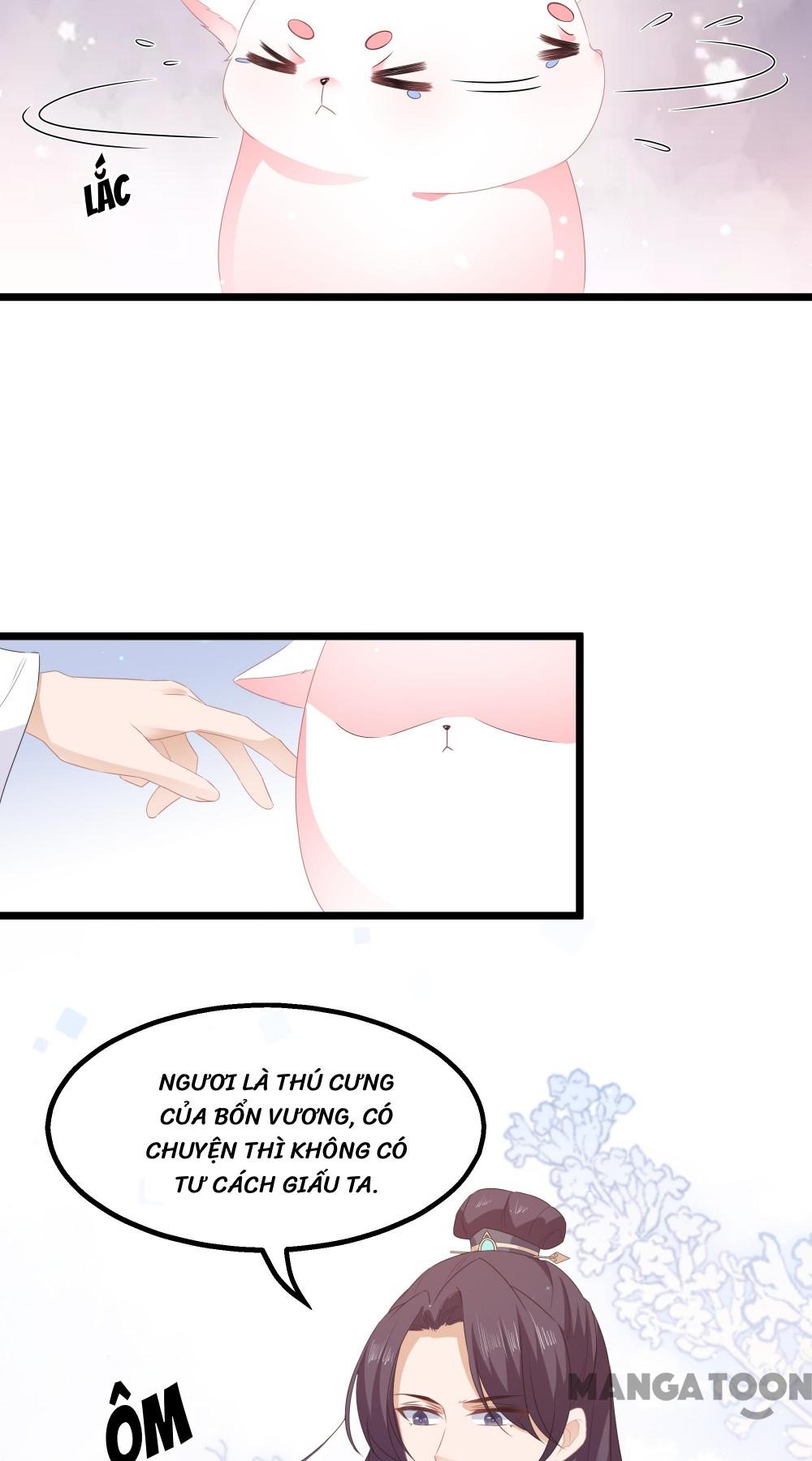 Hồ Phi Chớ Dây Vào Lửa Chapter 26 - Trang 19