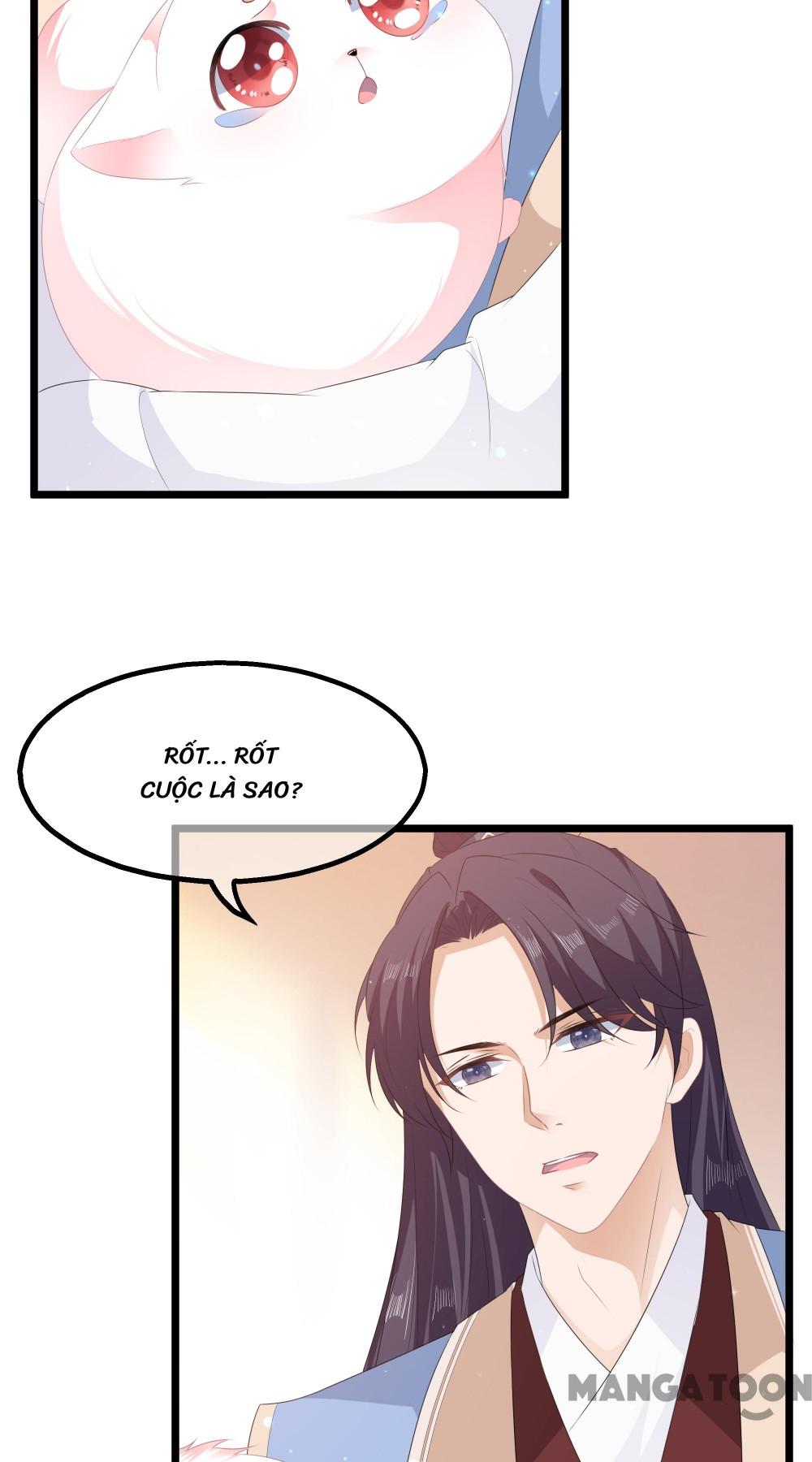 Hồ Phi Chớ Dây Vào Lửa Chapter 26 - Trang 21