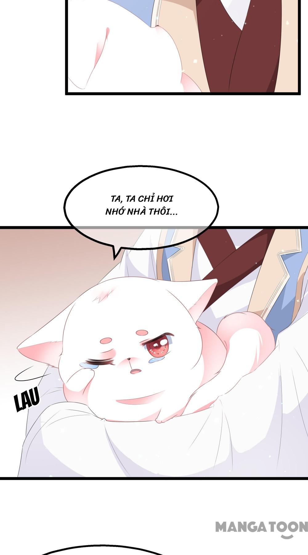 Hồ Phi Chớ Dây Vào Lửa Chapter 26 - Trang 22