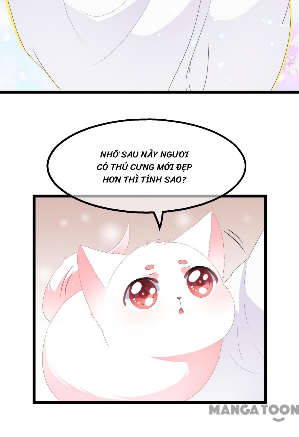 Hồ Phi Chớ Dây Vào Lửa Chapter 26 - Trang 25