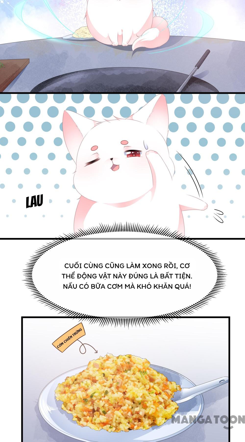 Hồ Phi Chớ Dây Vào Lửa Chapter 26 - Trang 7