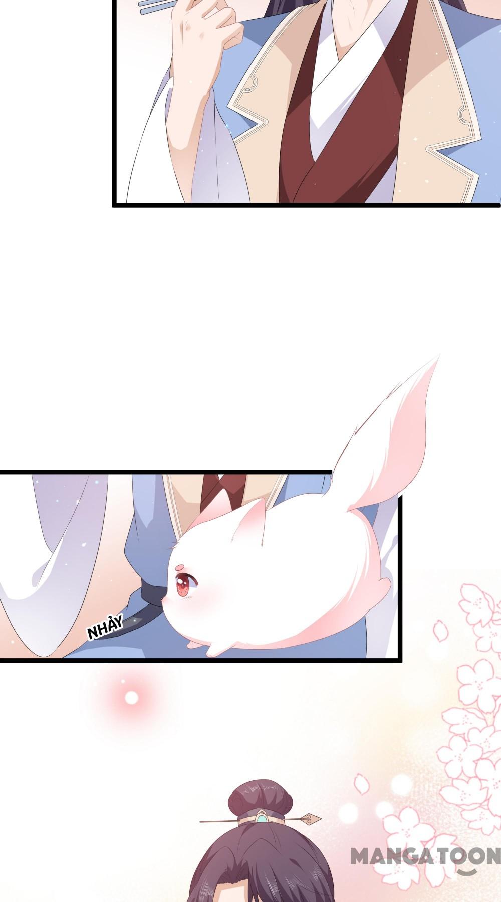 Hồ Phi Chớ Dây Vào Lửa Chapter 27 - Trang 11
