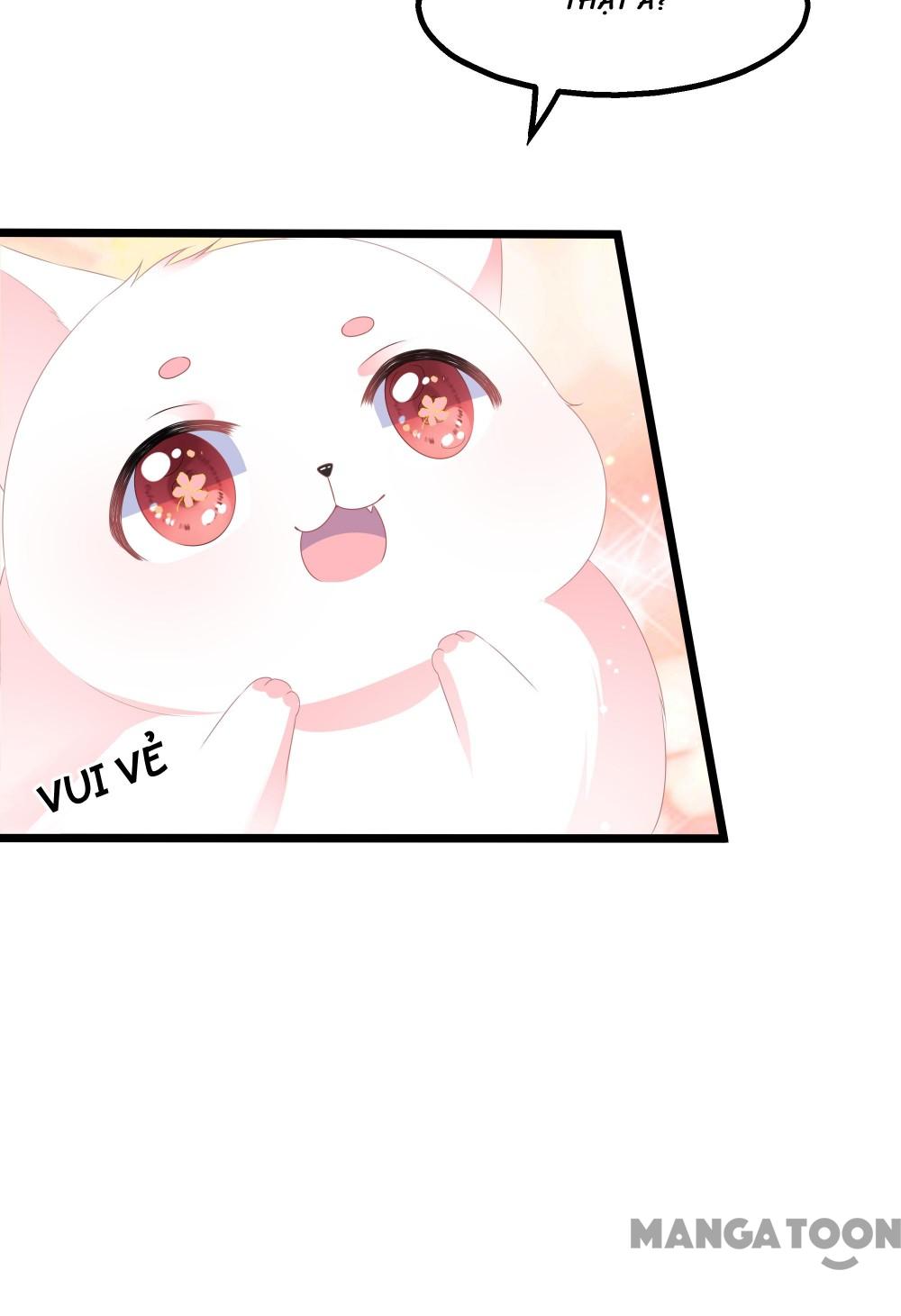 Hồ Phi Chớ Dây Vào Lửa Chapter 27 - Trang 17