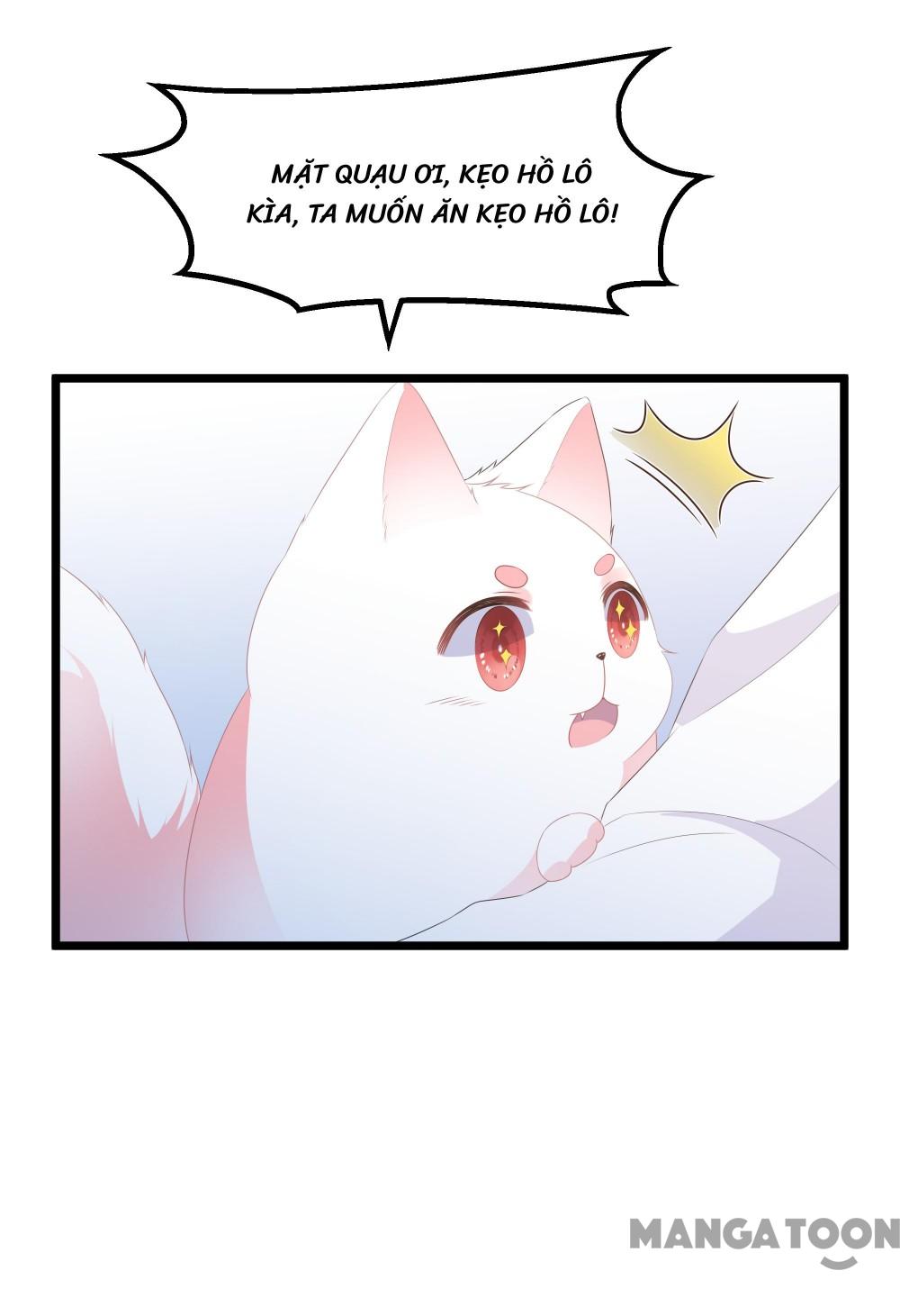 Hồ Phi Chớ Dây Vào Lửa Chapter 27 - Trang 25