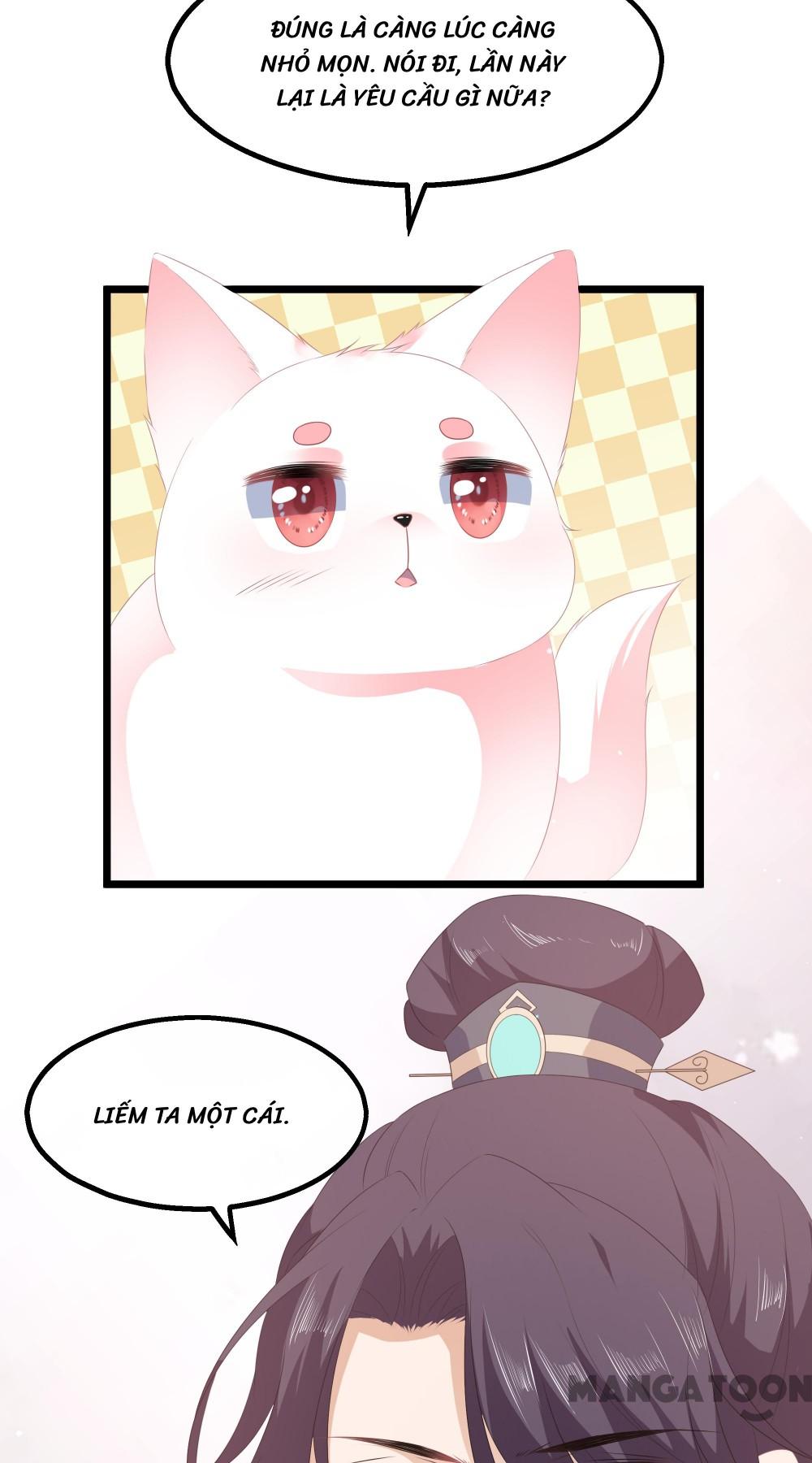 Hồ Phi Chớ Dây Vào Lửa Chapter 27 - Trang 27