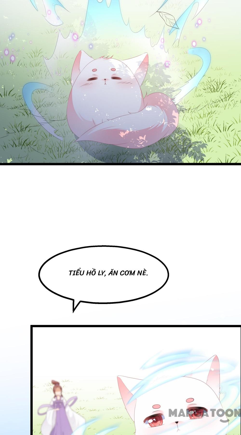 Hồ Phi Chớ Dây Vào Lửa Chapter 27 - Trang 3
