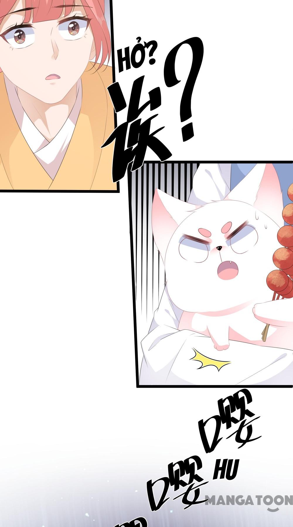 Hồ Phi Chớ Dây Vào Lửa Chapter 28 - Trang 12