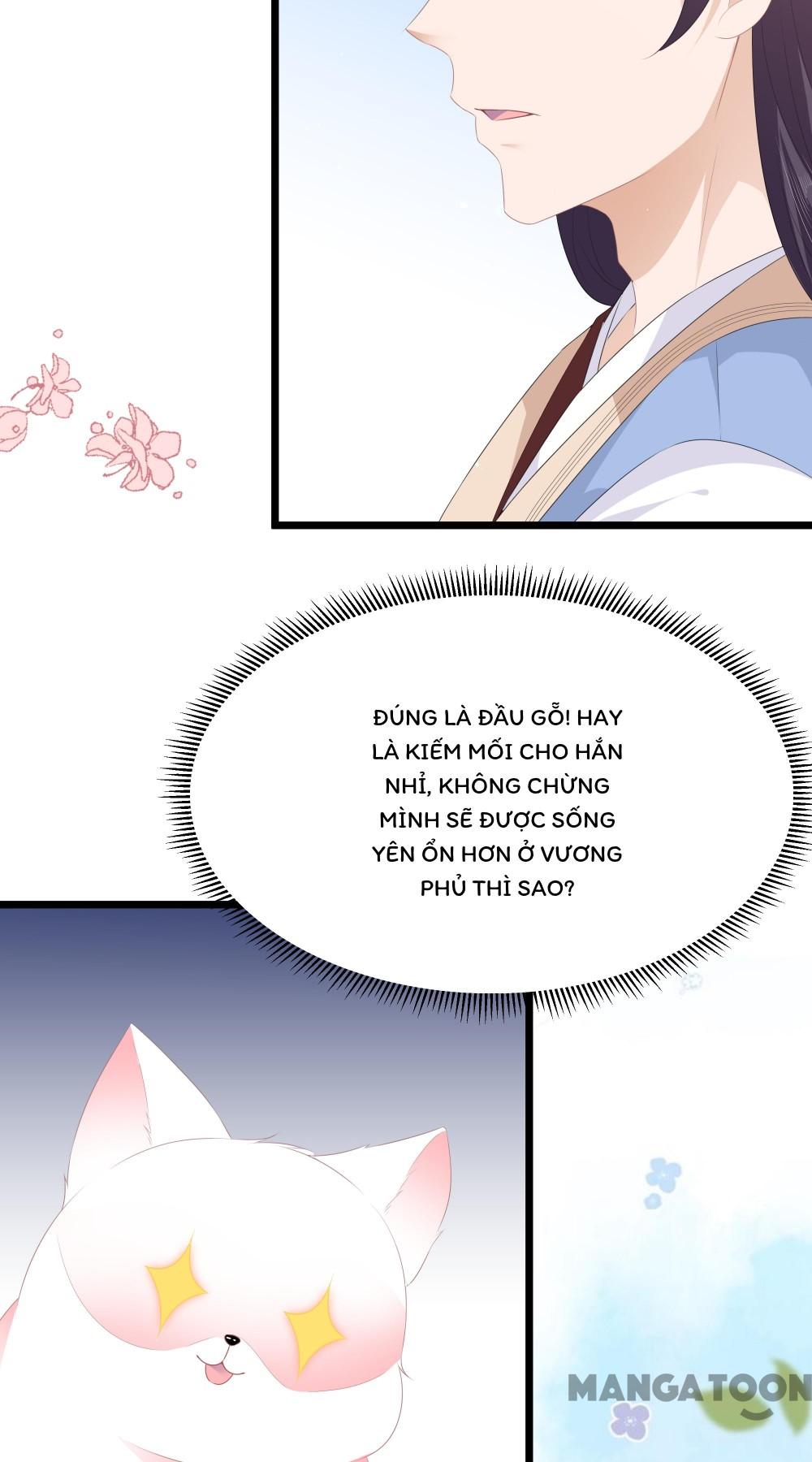 Hồ Phi Chớ Dây Vào Lửa Chapter 28 - Trang 22