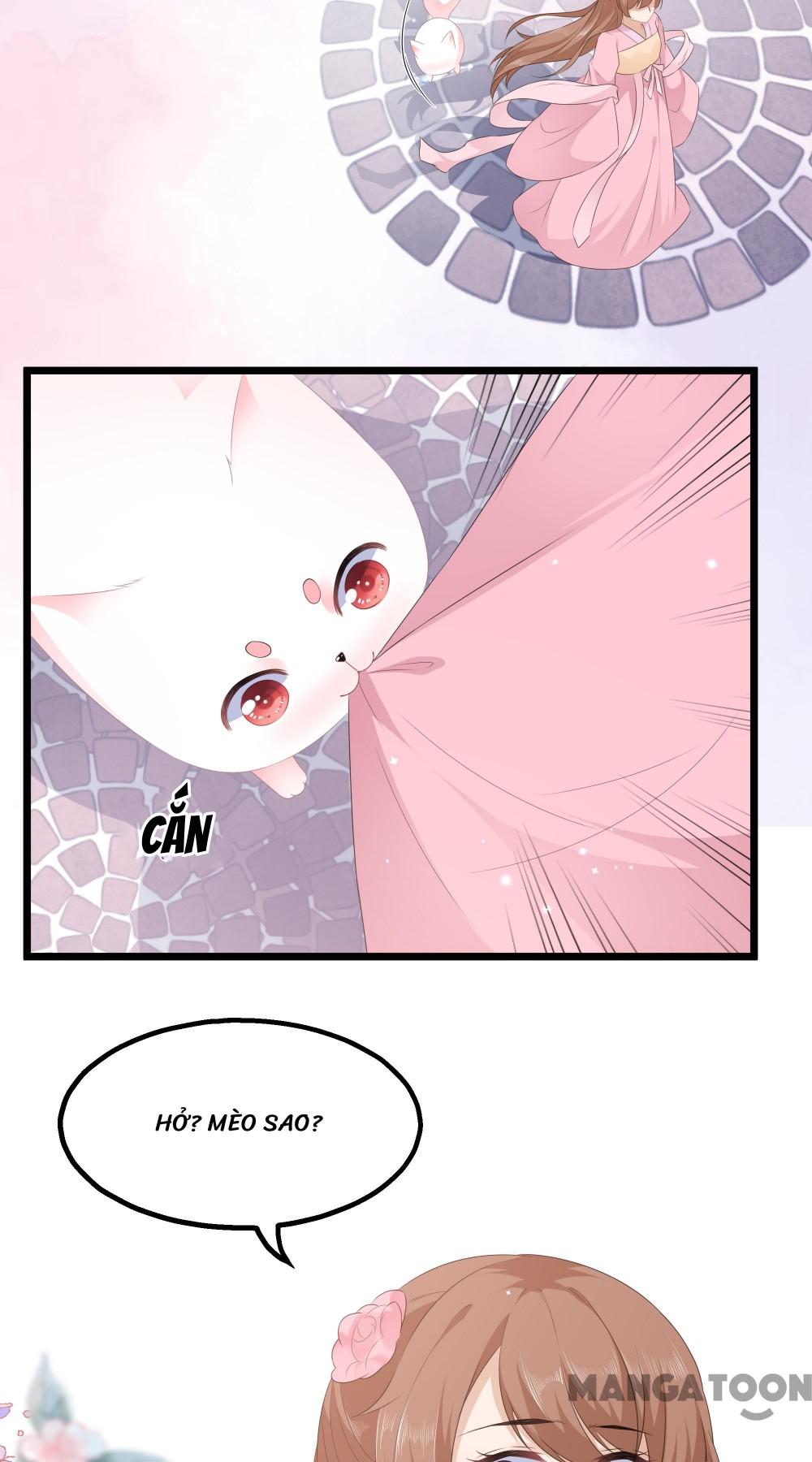 Hồ Phi Chớ Dây Vào Lửa Chapter 28 - Trang 25