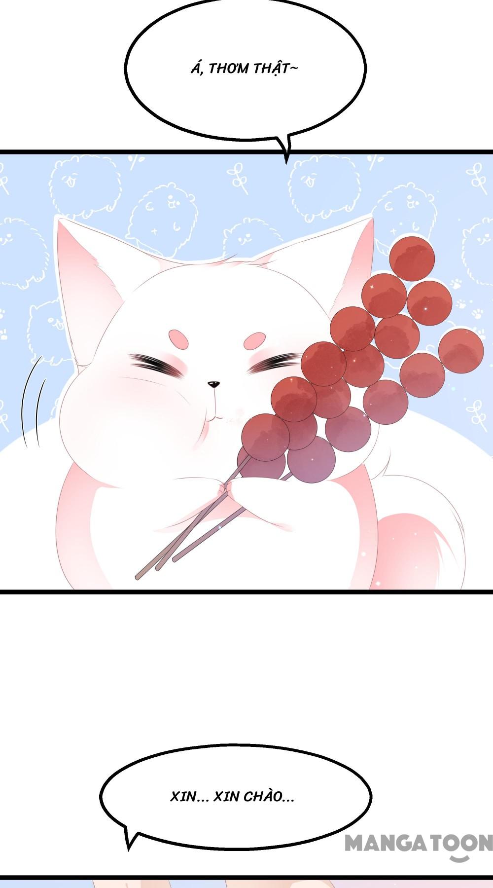 Hồ Phi Chớ Dây Vào Lửa Chapter 28 - Trang 7