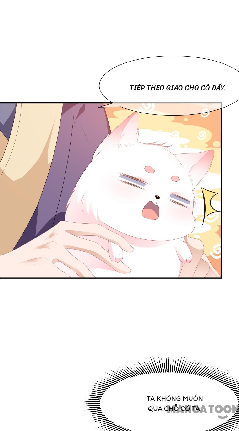 Hồ Phi Chớ Dây Vào Lửa Chapter 3 - Trang 2